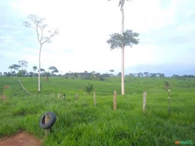 VENDO FAZENDA COM TERRA DE 200 HECTERE