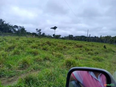 VENDO FAZENDA COM TERRA DE 200 HECTERE