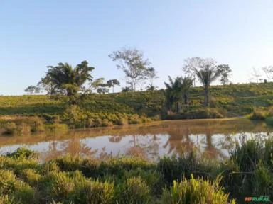 VENDO FAZENDA COM TERRA DE 200 HECTERE