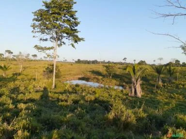 VENDO FAZENDA COM TERRA DE 200 HECTERE