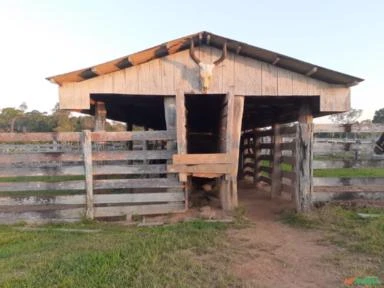 VENDO FAZENDA COM TERRA DE 200 HECTERE