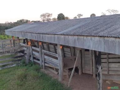 VENDO FAZENDA COM TERRA DE 200 HECTERE