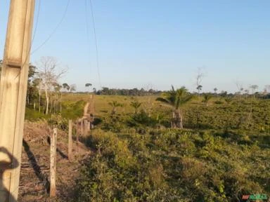 VENDO FAZENDA COM TERRA DE 200 HECTERE