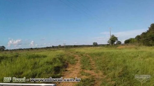 Fazenda perto Campo Grande MS