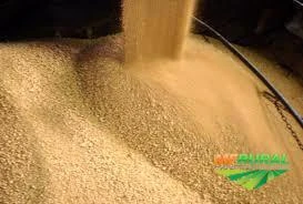 Exportação de soja