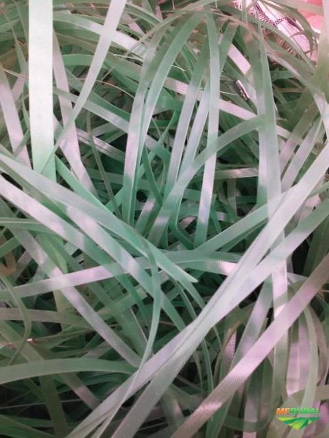 COMPRO SUCATA DE FITA DE ARQUEAR PET Imagem COMPRO SUCATA DE FITA DE ARQUEAR PET