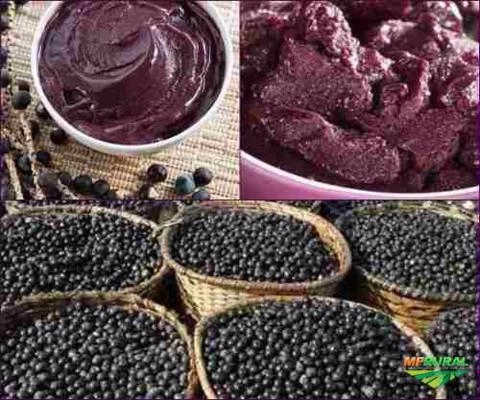 AÇAI NATVITA Imagem AÇAI NATVITA