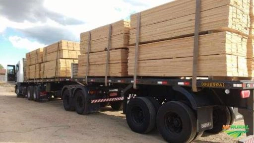 VIGAMENTO DE EUCALIPTO DUNNI, TABUAS DE PINUS, EUCALIPTO TRATADO, MADEIRITES Imagem VIGAMENTO DE EUCALIPTO DUNNI, TABUAS DE PINUS, EUCALIPTO TRATADO, MADEIRITES