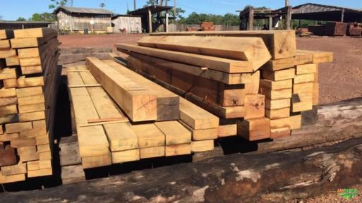 GARAPA (GARAPEIRA) Imagem GARAPA (GARAPEIRA)