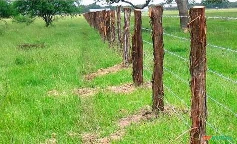 Cercas de qualidades preço e previsão Imagem Cercas de qualidades preço e previsão