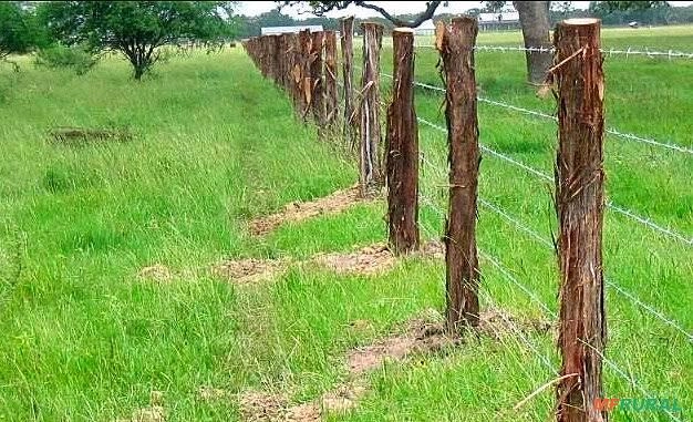 Cercas de qualidades preço e previsão Imagem Cercas de qualidades preço e previsão