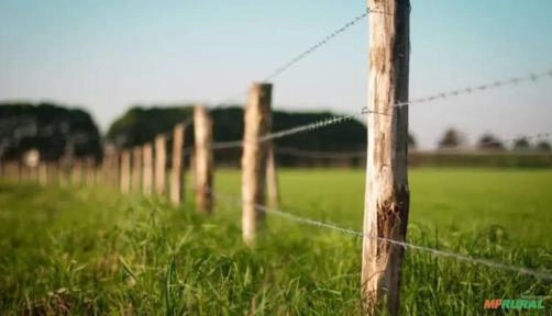 Imagem Cercas de qualidades preço e previsão Imagem Cercas de qualidades preço e previsão