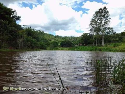 Vende-se fazenda no vale do rio doce em MG