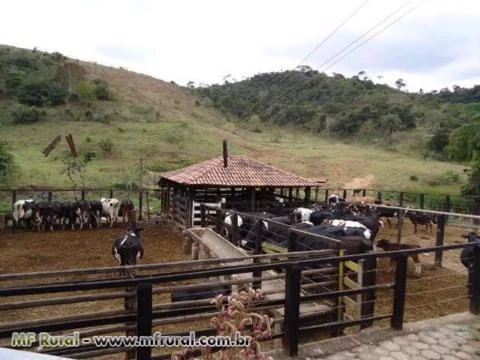 Vende-se fazenda no vale do rio doce em MG