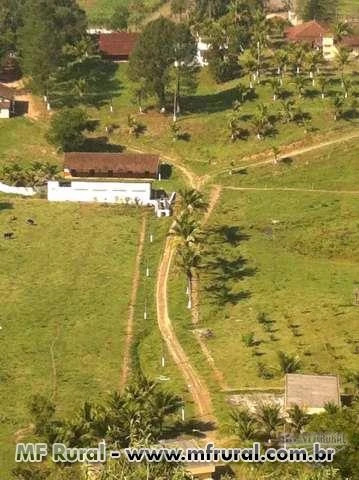 Fazenda e Frigorífico a venda