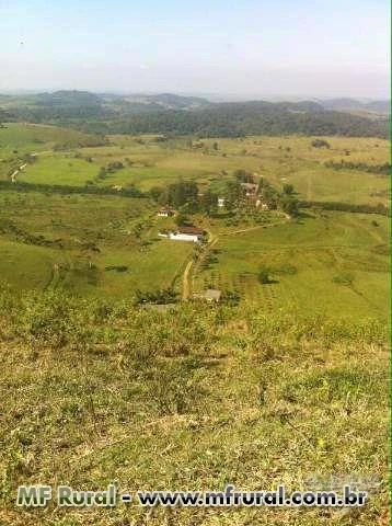 Fazenda e Frigorífico a venda