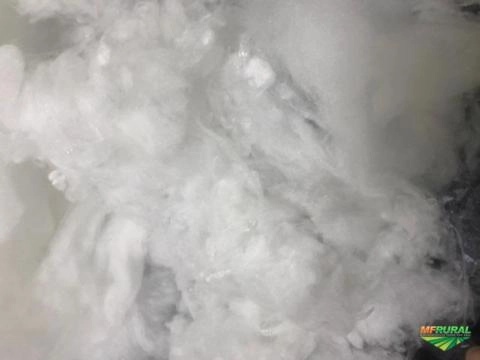 Compro Sucatas, resíduos de Poliéster Imagem Compro Sucatas, resíduos de Poliéster