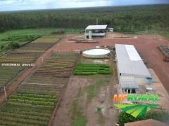 Fazenda Eucalipto  para Venda Palmas / TO ALIANÇA FAZENDA COM 144 MIL HECTARES R$2,7 BILHOES