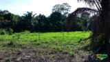 Sítio 54 hectares em Breu Branco - Pará