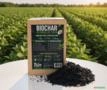 Biochar Orgânico Imagem Biochar Orgânico
