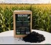 Biochar Orgânico Imagem Biochar Orgânico