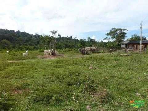 Imperdível! Fazenda em Aripuanã por R$ 1.8000.000,00 próxima Mineradora da Votorantim Metais
