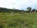 Imperdível! Fazenda em Aripuanã por R$ 1.8000.000,00 próxima Mineradora da Votorantim Metais