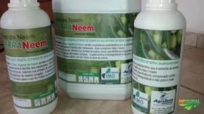 Óleo de Neem