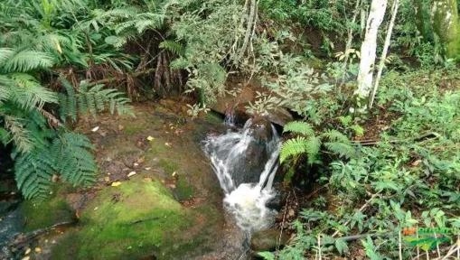 SITIO INTERIOR DE SÃO PAULO