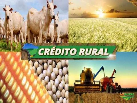 Crédito Rural, Aporte Financeiro, Crédito para Máquinas, Crédito Imobiliário com a menor taxa.
