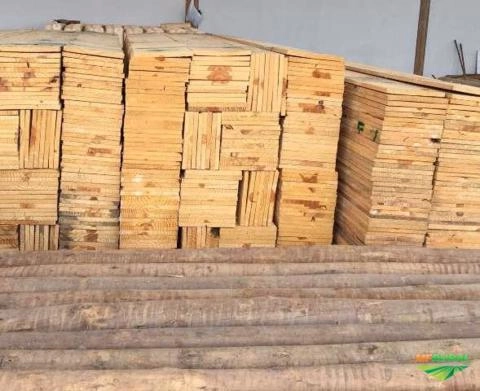 Mourão de Eucalipto Tratado Imagem Mourão de Eucalipto Tratado