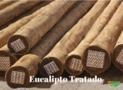Mourão de Eucalipto Tratado Imagem Mourão de Eucalipto Tratado