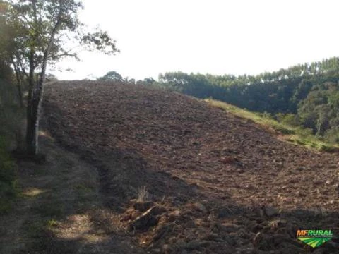 Fazenda em Cerro Azul - PR 40 alqueires