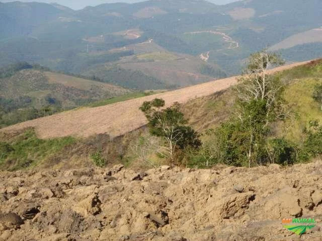 Fazenda em Cerro Azul - PR 40 alqueires