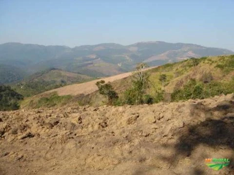 Fazenda em Cerro Azul - PR 40 alqueires