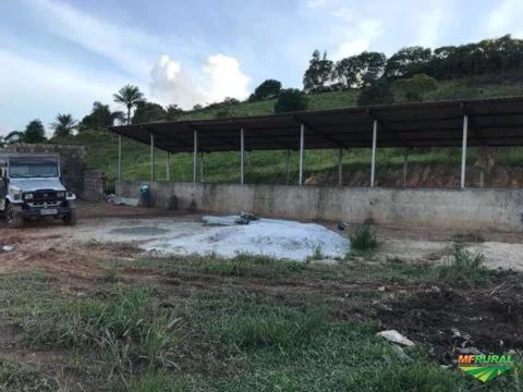 vendo Sítio/Granja - 19 hectares - gerando renda