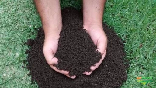 Humus adubo orgânico Imagem Humus adubo orgânico