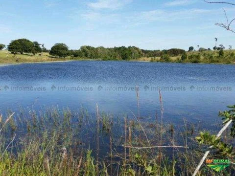 FAZENDA COM 286 HECTARES EM CAMPO GRANDE - MS