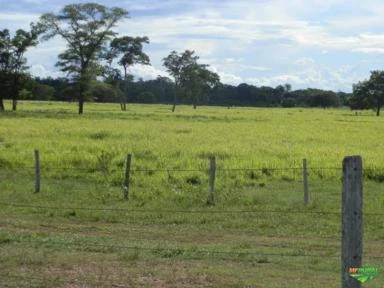 Fazenda de Soja e Pecuária com 1825 Hectares em Bonito - MS