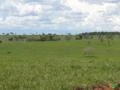 Fazenda de Soja, Milho e Pecuária com 1.922 Hectares em Paraíso das Águas - MS