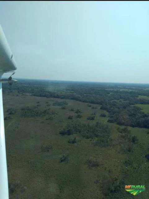 Fazenda com 6.000 Hectares no Pantanal - MS