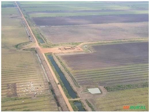 Fazenda de Soja e Pecuária com 5.245 Hectares em Miranda/MS