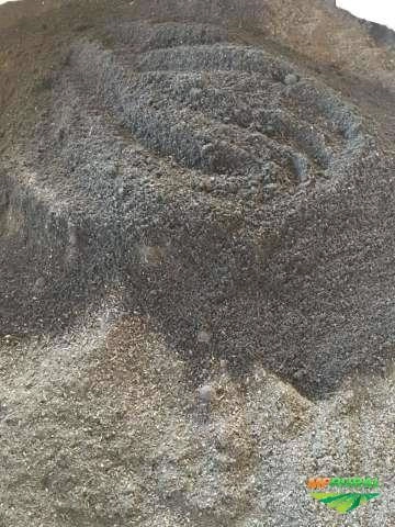 Adubo Orgânico: Triturado, Peneirado e Certificado. Imagem Adubo Orgânico: Triturado, Peneirado e Certificado.