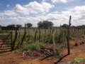 Fazenda Pronta para trabalhar em Juazeiro - Bahia