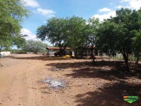 Fazenda Pronta para trabalhar em Juazeiro - Bahia