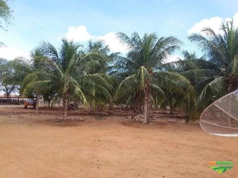 Fazenda Pronta para trabalhar em Juazeiro - Bahia