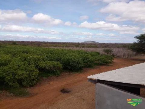 Fazenda Pronta para trabalhar em Juazeiro - Bahia