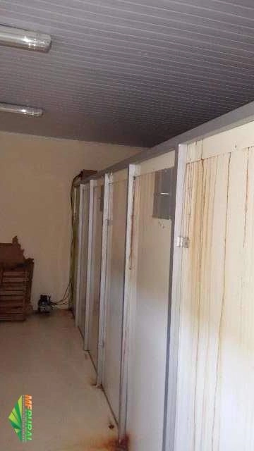 Imagem Estufa Estacionária Elétrica e digital para alimentos ou materiais Imagem Estufa Estacionária Elétrica e digital para alimentos ou materiais