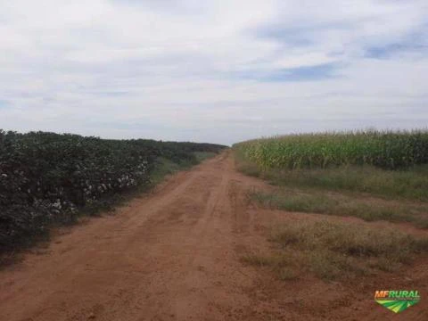 Fazenda de 3.000 ha para plantio em Nova Ubiratan-MT.