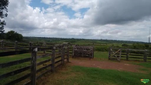 Fazenda em Paragominas, Pará